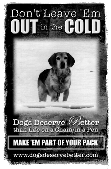 DOGS DESERVE BETTER